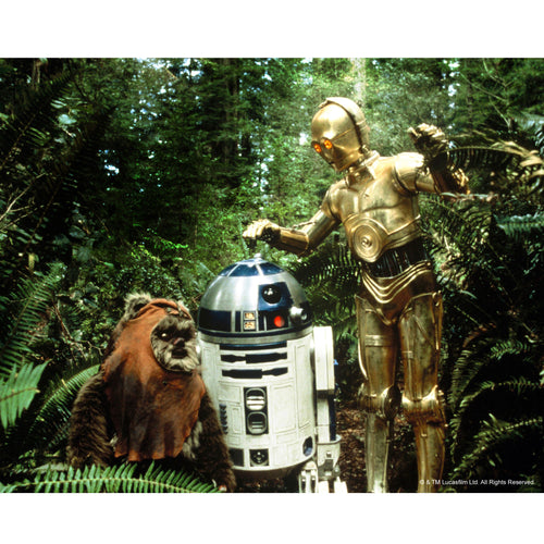 Wicket, R2-D2 & C-3PO 10x8 Photo signed by Warwick Davis