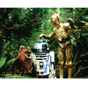 Wicket, R2-D2 & C-3PO 10x8 Photo signed by Kenny Baker, Anthony Daniels & Warwick Davis