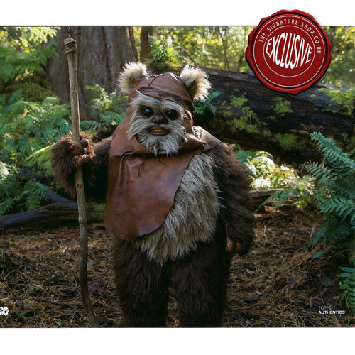 Wicket the Ewok from The Rise of Skywalker 10x8 Photo signed by Warwick Davis