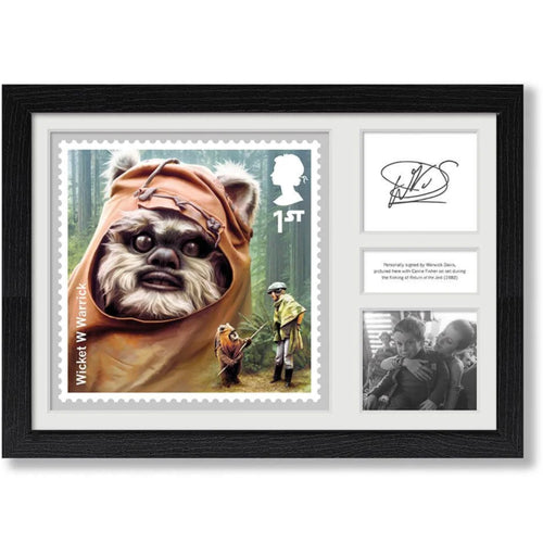 Royal Mail Wicket the Ewok Framed Stamp Artwork signed by Warwick Davis