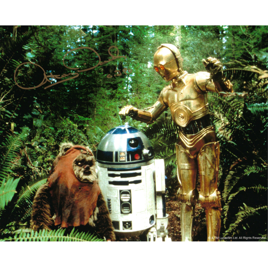 Wicket, R2-D2 & C-3PO 10x8 Photo signed by Warwick Davis & Anthony Daniels