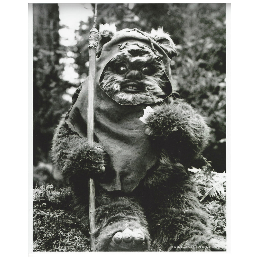 Black & White 10x8  Photograph of Wicket signed by Warwick Davis