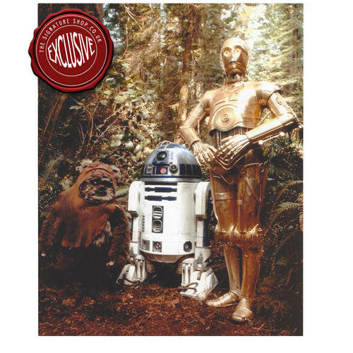 Wicket, R2-D2 &  C-3PO 10x8 Photo signed by Warwick Davis