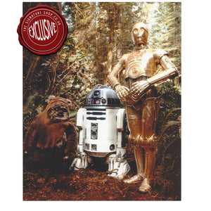 Wicket, R2-D2 &  C-3PO 10x8 Photo signed by Warwick Davis